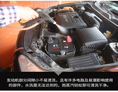 移动蒸汽洗车 移动蒸汽洗车