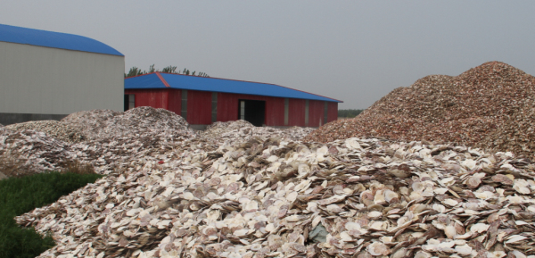 乾港集团 乾港集团