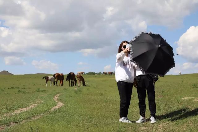 乾港集团高层草原自驾游 乾港集团高层草原自驾游