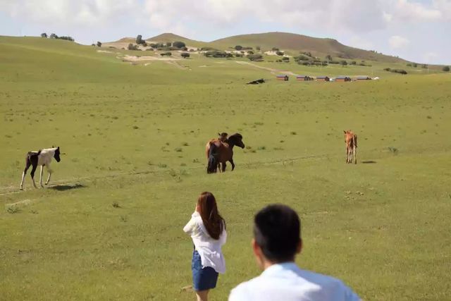 乾港集团高层草原自驾游 乾港集团高层草原自驾游