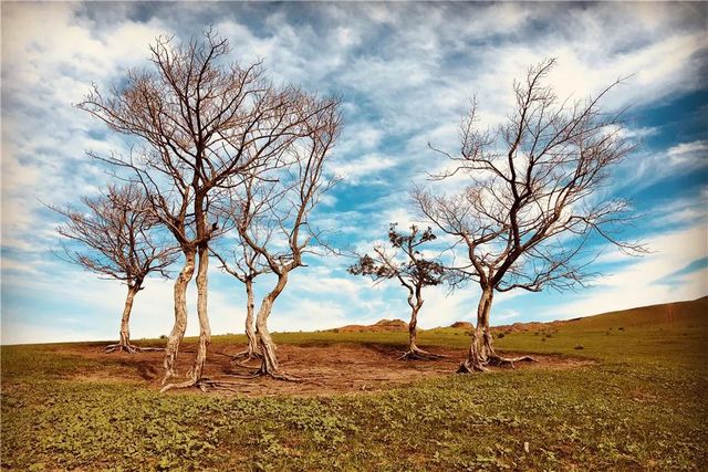 乾港集团高层草原自驾游 乾港集团高层草原自驾游