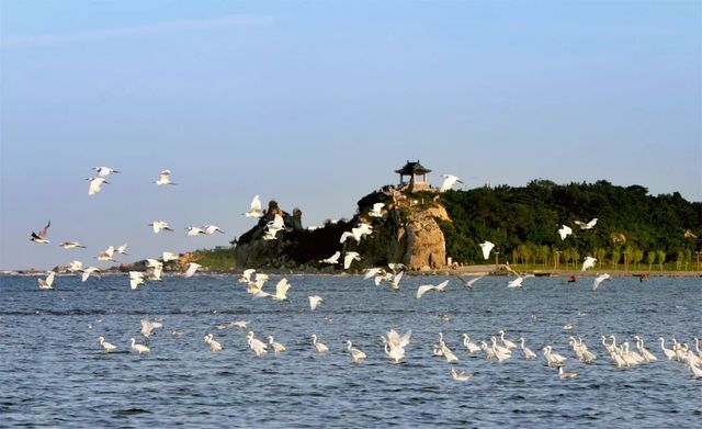 乾港慰问一线干警 乾港慰问一线干警