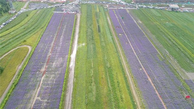 环美亚西行漫记自驾游 环美亚西行漫记自驾游