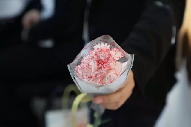 乾港女神节 乾港女神节