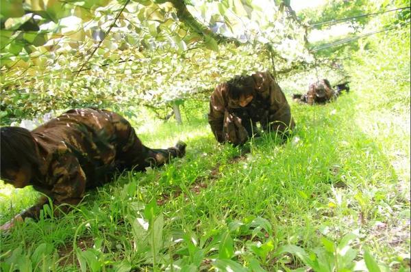 乾港集团,乾港官网,乾港网络,室内空气净化公司 乾港集团,乾港官网,乾港网络,室内空气净化公司